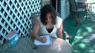 &quot;Driveaway&quot; All-American Rejects Music Video