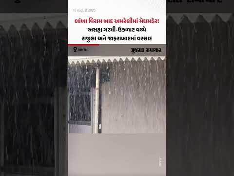 લાંબા વિરામ બાદ અમરેલીમાં મેઘમહેર! અસહ્ય ગરમી-ઉકળાટ વચ્ચે રાજુલા અને જાફરાબાદમાં વરસાદ લાંબા વિરામ બાદ અમરેલીમાં મેઘમહેર! અસહ્ય ગરમી-ઉકળાટ વચ્ચે રાજુલા અને જાફરાબાદમાં વરસાદ