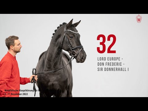 Westf. Hauptkörung 2022 Reitpferde: Kat.Nr. 32  Lord Europe  -  Don Frederic  -  Sir Donnerhall I