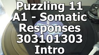 Puzzling 11 - A1 - Somatic Responses - 303101303 Intro