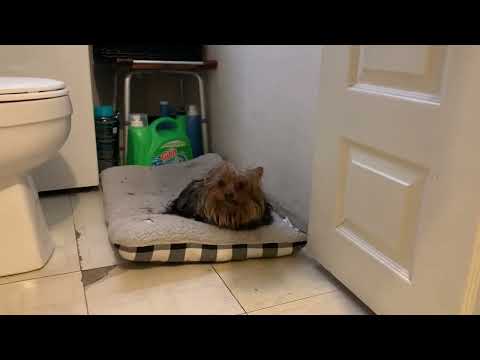 Bajas temperaturas en Denver Colorado. 12 29 2022 ￼