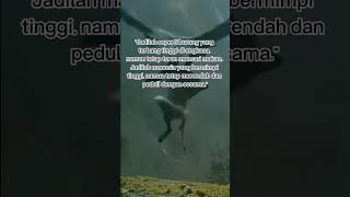 Download lagu Jadilah seperti burung.@mutiaraalfinada #shorts #shortsvideo mp3 Download lagu Jadilah seperti burung.@mutiaraalfinada #shorts #shortsvideo mp3