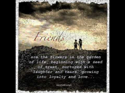 NST [ PiNEDA PRiDE ]