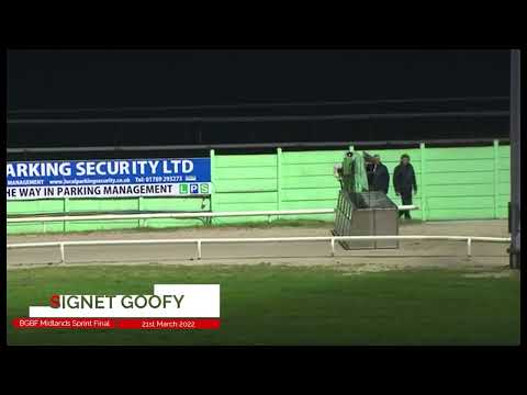 BGBF Signet Goofy - BGBF British Bred Midlands Sprint Trophy   Final