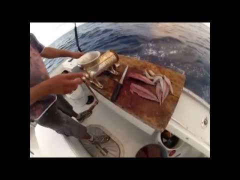 Deep Drop BDA at Night