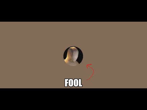 Micah Spoils Rain World (Funny)