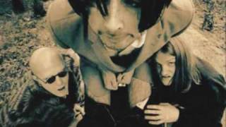 Evil Superstars- Gimme Animal Rights