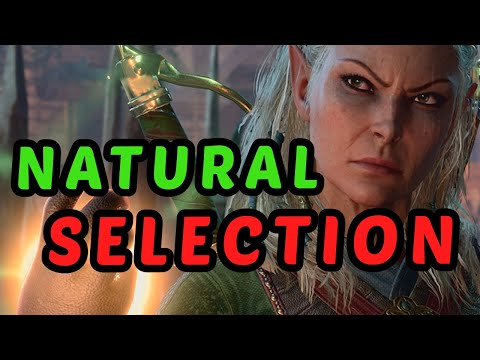 The BEST SPORE DRUID in Baldur's Gate 3 - Detailed Jaheira / Halsin Honour Build Guide