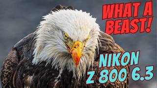 I Took the 800mm BEAST into the Wild… Here's What Happened!