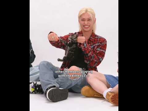 The kittens definitely know he's one of them🐈‍⬛ #leeknow #leeknowstraykids #leeknowskz #straykids