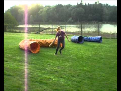 Taffy trénink agility 24.9.2012