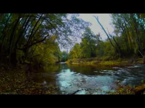 4h video in 4k relax session   gentle sound of river, beginning of autumn