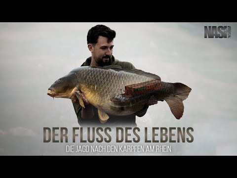 DER FLUSS DES LEBENS - Die Jagd nach den Karpfen am Rhein