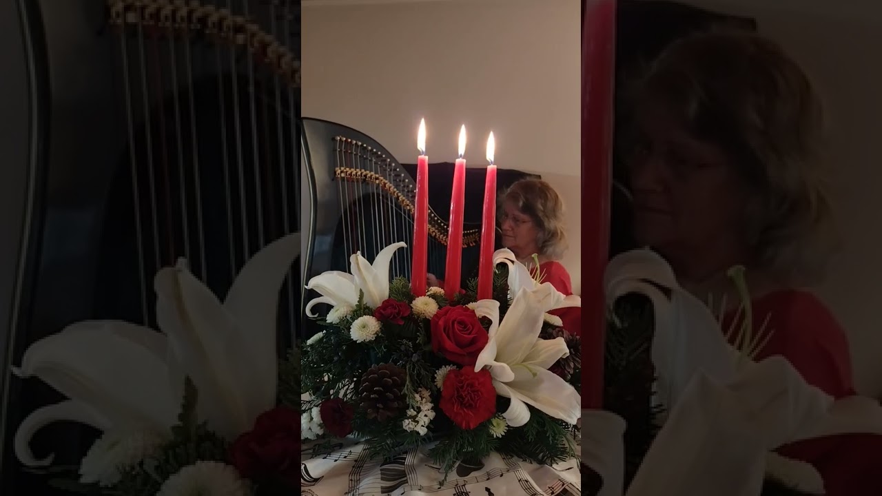 Promotional video thumbnail 1 for Kim Adamson, harpist