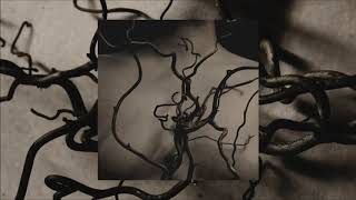 Fawn Limbs - Sleeper Vessels (Full album stream)