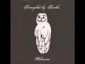Trampled by Turtles - New Son/Burnt Iron