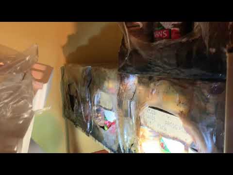 Horrible Fruit Fly Infestation in Commercial Building in Montgomery, NJ