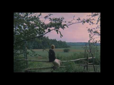 [FREE 10+] Post Punk Loopkit/Sample Pack "Mirrors" | Alternative Rock x Indie Guitar Melody Loop Kit