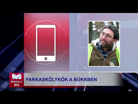 Videó előnézet
