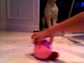 Kirby S Adventure Pt 3