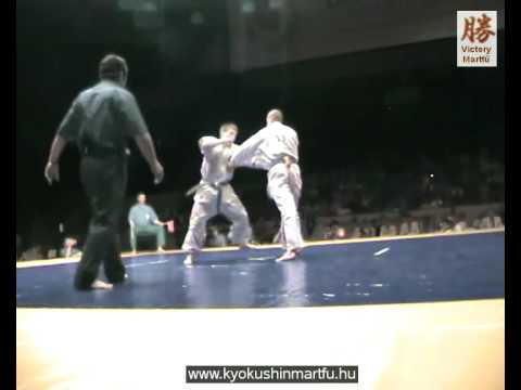 Shinkyokushin World Cup 09 - Pető Krisztián - Dimitry Moiseyev