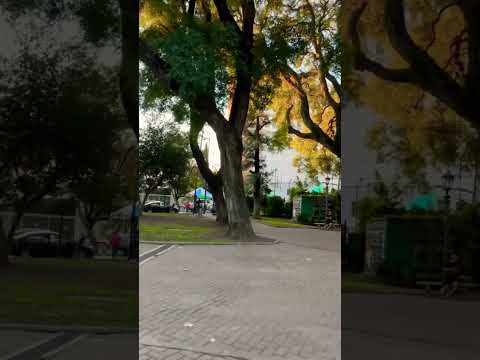 Es una tarde de mayo más que maravillosa en la plaza Castelli de Belgrano #walking #shorts #belgranl
