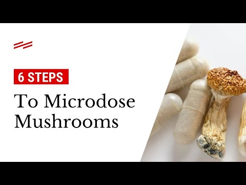 How to Microdose Mushrooms (6 Steps)