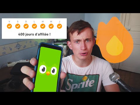 Duolingo, 400 Jours Après ...