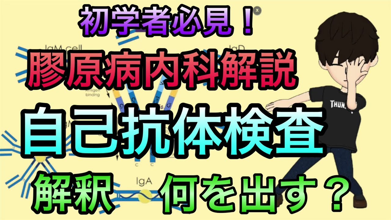 【初学者必見】膠原病内科医解説　抗体検査何を出せばいい？捉え方