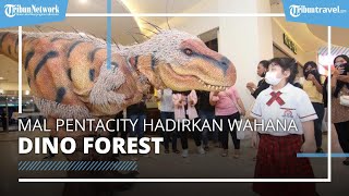 Jelang Natal dan Tahun Baru 2023, Tempat Wisata Mal Pentacity Balikpapan Hadirkan Wahana Dino Forest