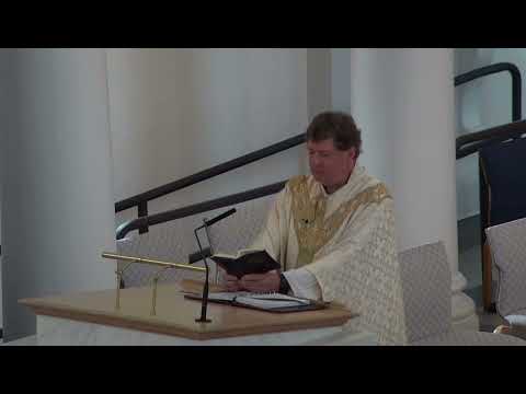 Saint Aloysius Gonzaga. Homily. 6/21/2022