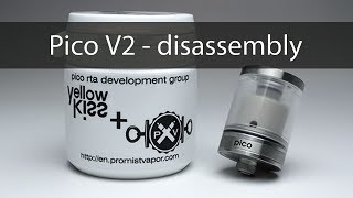 Pico V2 - dsiassembly