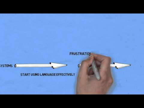 The Language Learning Process