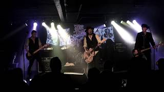 Tyla&#39;s Dogs D&#39;Amour - What You Do - Live 2017