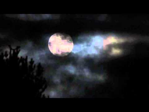 The Buddaheads - Crawling Moon
