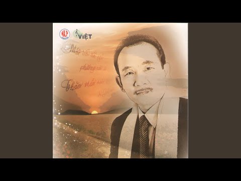 ANH LÀ ÁNH SAO BĂNG