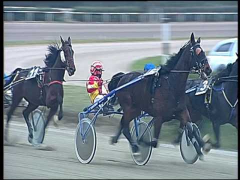 Trotto 02/12/2016 - 3ª corsa