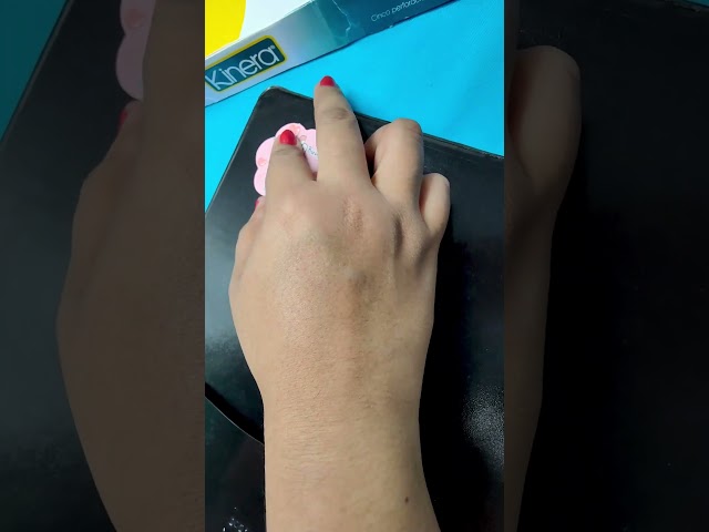 Vídeo relacionado con Grupo Erik Carpeta Escolar A4 Botanical Wil Flowers - Carpeta Solapas Flores de Tapa Dura con Gomas | Carpetas Archivadoras para Niños y Niñas