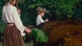 Native europeans (Baltic folk) - Back to our roots 🌿