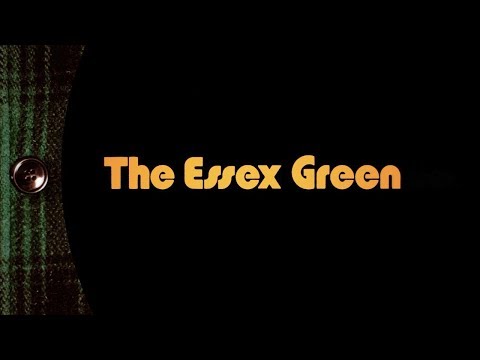 The Essex Green - Hardly Electronic (Album Trailer)