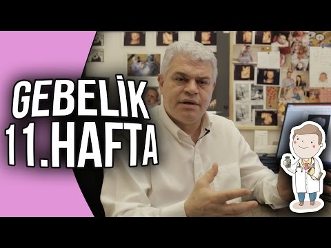 Doktor Evinde - Gebelik 11. Hafta
