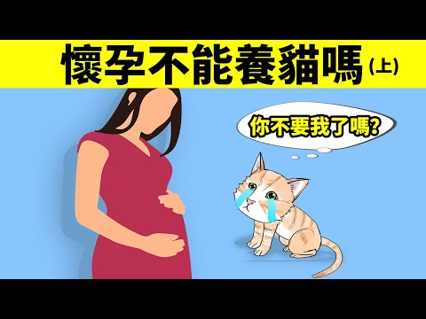 孕婦養貓 注意