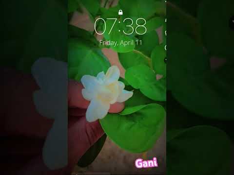 #viral#shots new viral video new screen template 28 29 shrivardhan