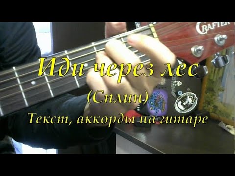 Сплин чудак. Чудак сплин текст. Чудак аккорды для гитары. Шел чудак аккорды на гитаре. Сплин бой.