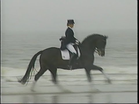 Rohdiamant & Lisa Wilcox, canter on the beach