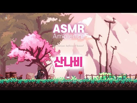 우리는 울지 않는 부엉이요, 발자국 없는 범이다🌙개울이 흐르는 뒷산, 고요한 기억 [산나비] ASMR 앰비언스