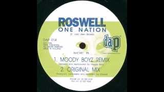 roswell - one nation (moody boys remix)