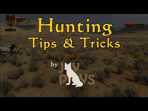 Hunting Tips and Tactics (JayPlays)