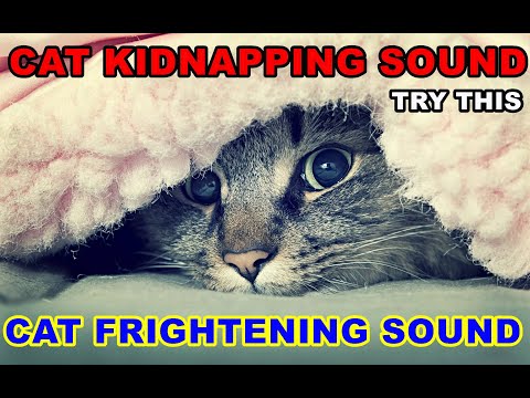 Cat Scares Sound |  Cat Repellent Sound | Cat Kidnaper | Cat infuriating Sound