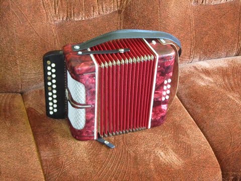 WELTMEISTER armonikos remontas